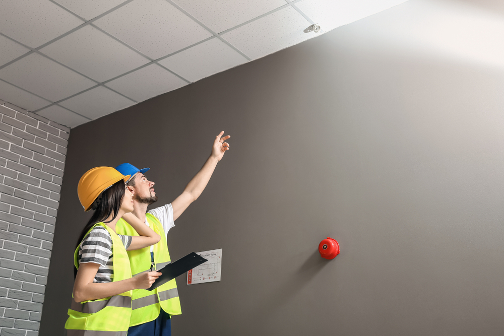 Renovlies voorbereiden in Roosendaal voor een goede ondergrond en hechting van het behang.